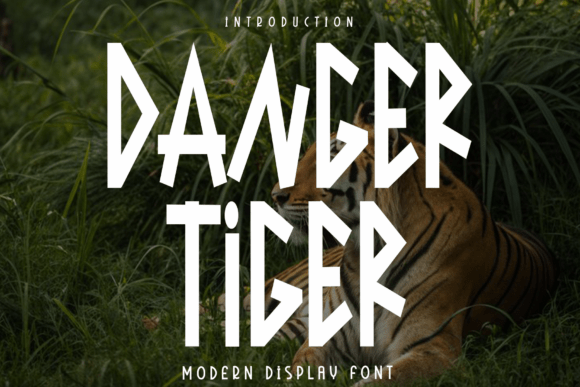 Danger Tiger: A Sophisticated Rhythm for Autumn Projects