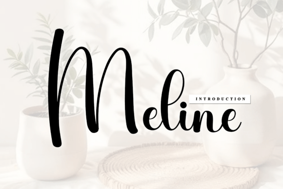 Meline: A Script Font with Rhythmic Sophistication
