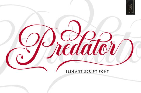 Predator: A Modern Script Font with a Luxurious Edge